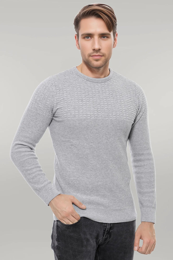 WSS Circle Neck Patterned Light Grey Men Knitwear  - Singen