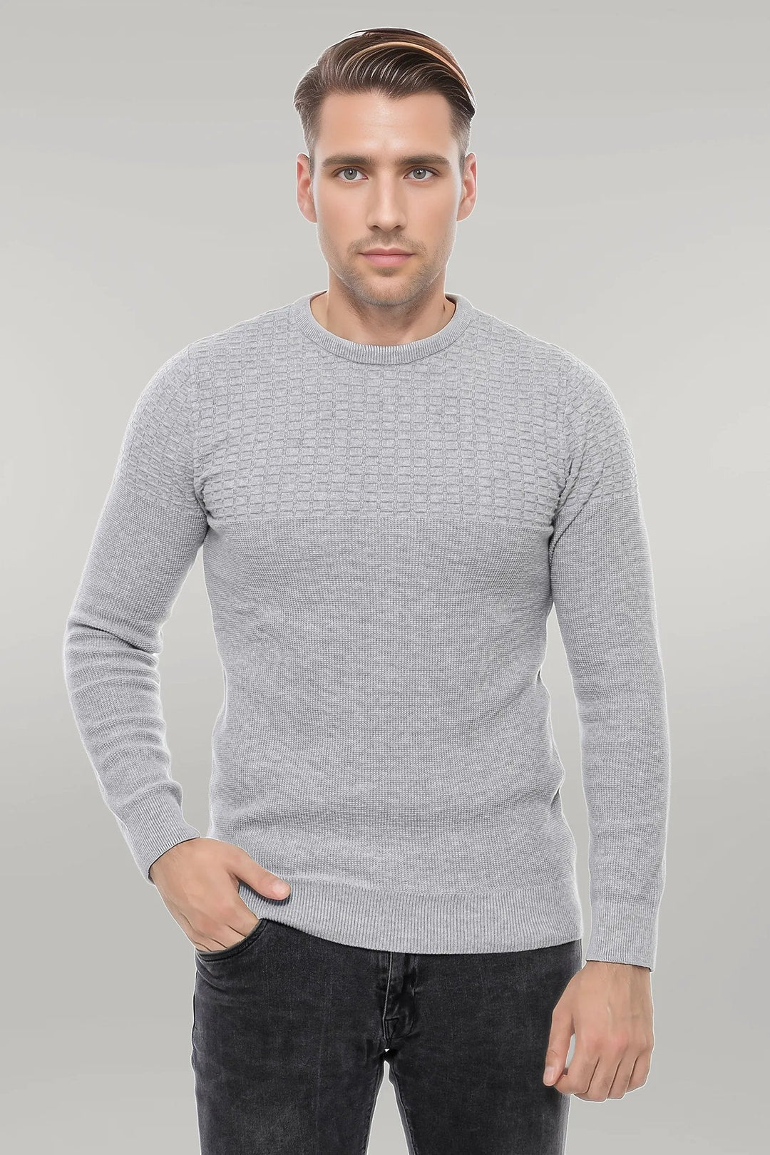 WSS Circle Neck Patterned Light Grey Men Knitwear  - Singen