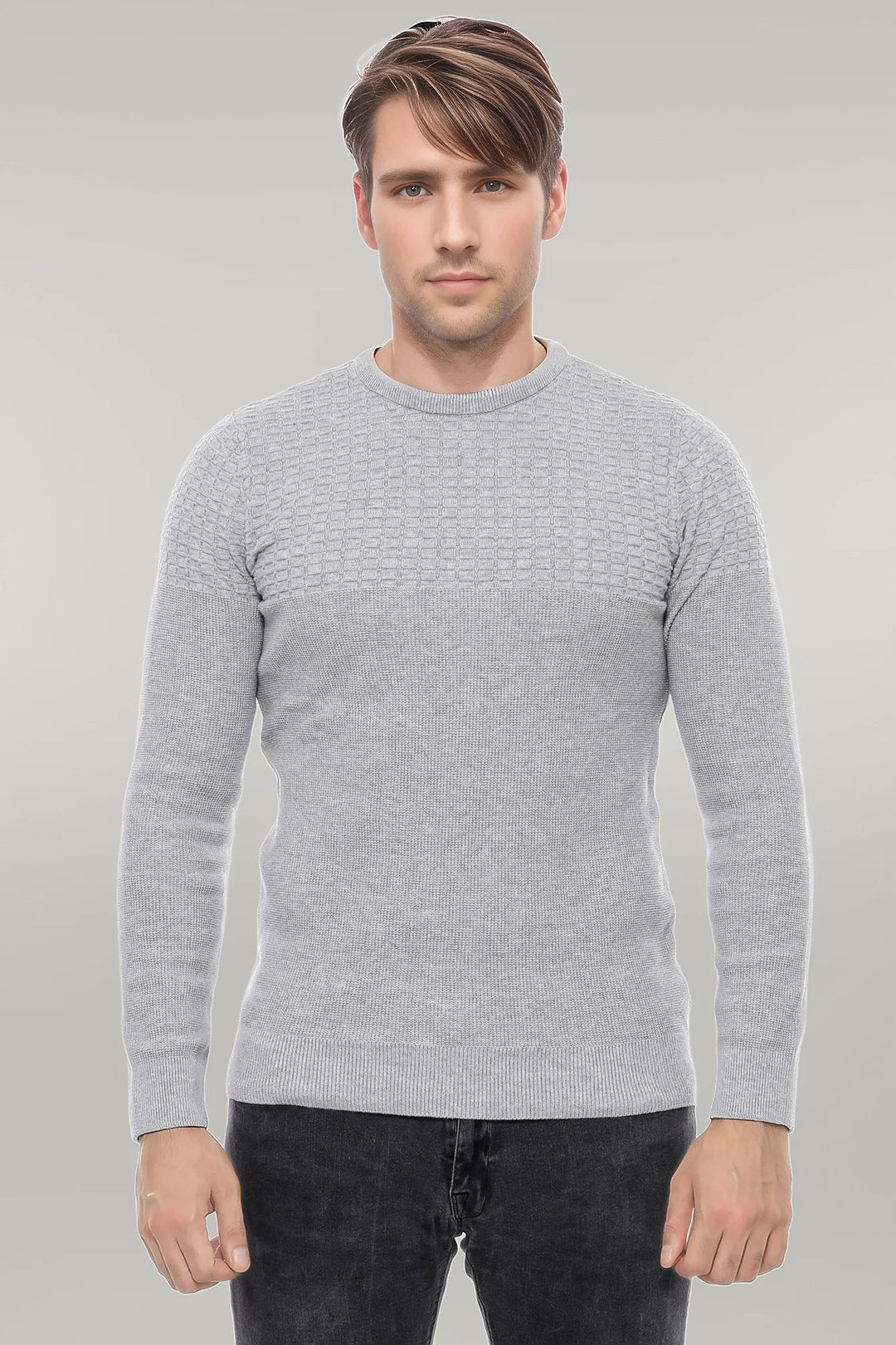 WSS Circle Neck Patterned Light Grey Men Knitwear  - Singen