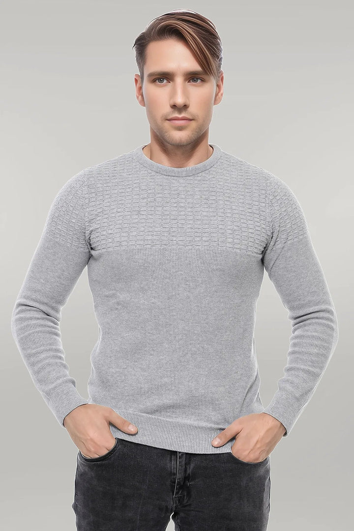 WSS Circle Neck Patterned Light Grey Men Knitwear  - Singen