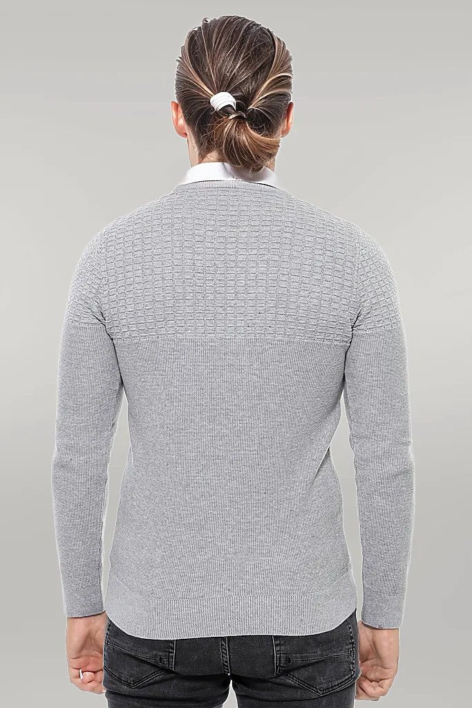 WSS Circle Neck Patterned Light Grey Men Knitwear  - Singen