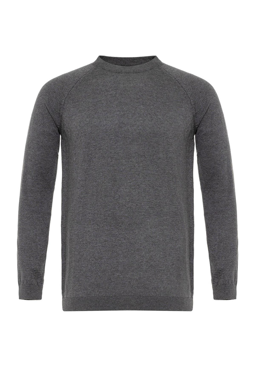 ANT Crew Neck Slim Fit Knitwear Sweater - Hicksville