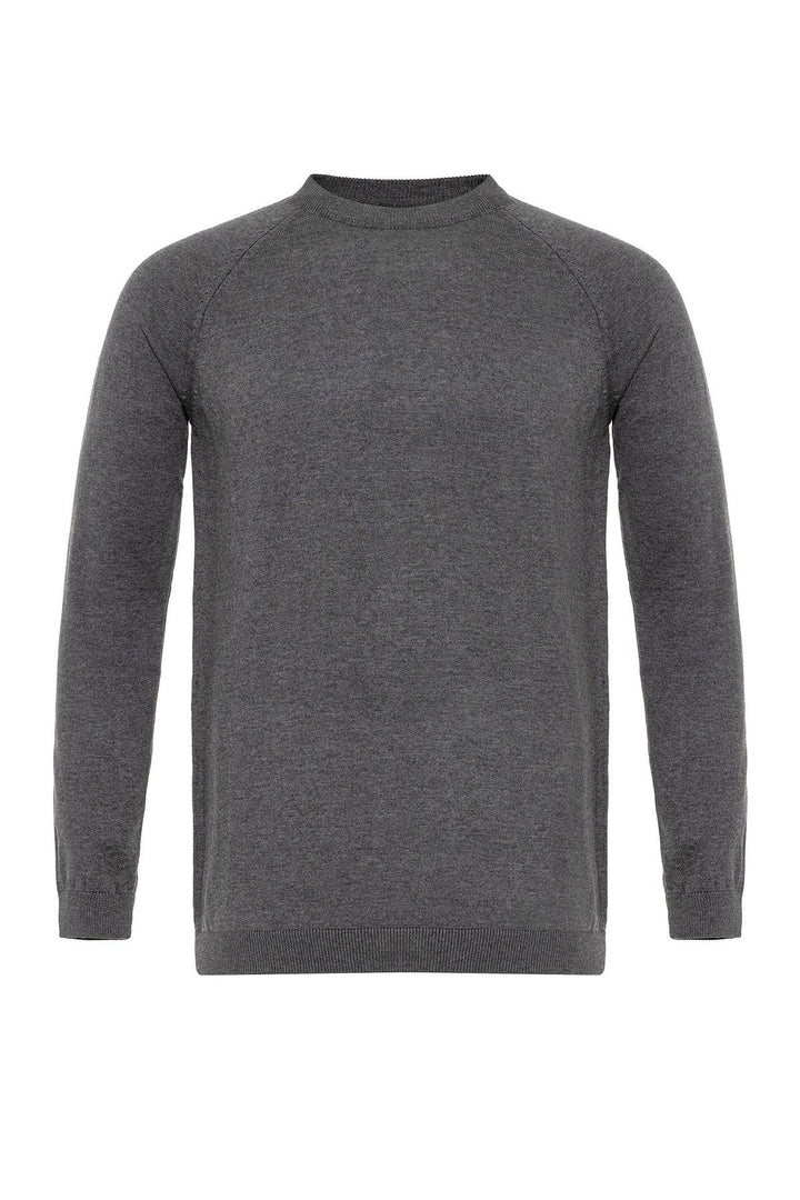 ANT Crew Neck Slim Fit Knitwear Sweater - Hicksville