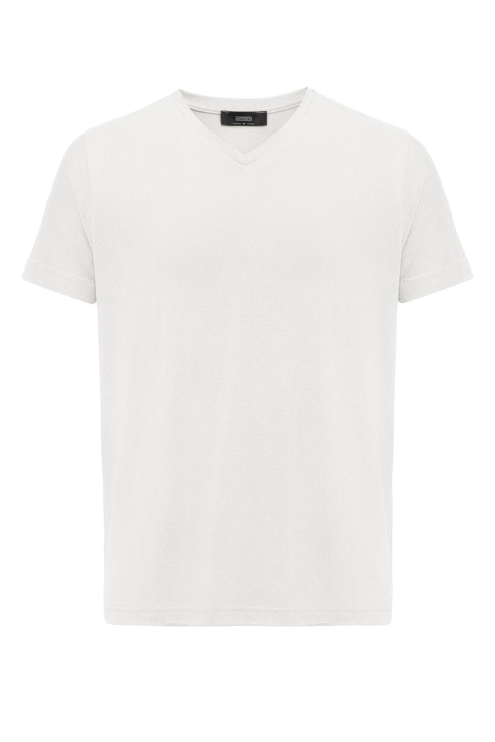 ANT Basic V-Neck Men's T-Shirt - Mount Vernon