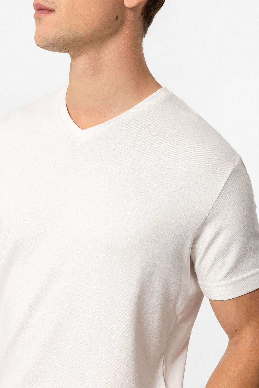 ANT Basic V-Neck Men's T-Shirt - Mount Vernon