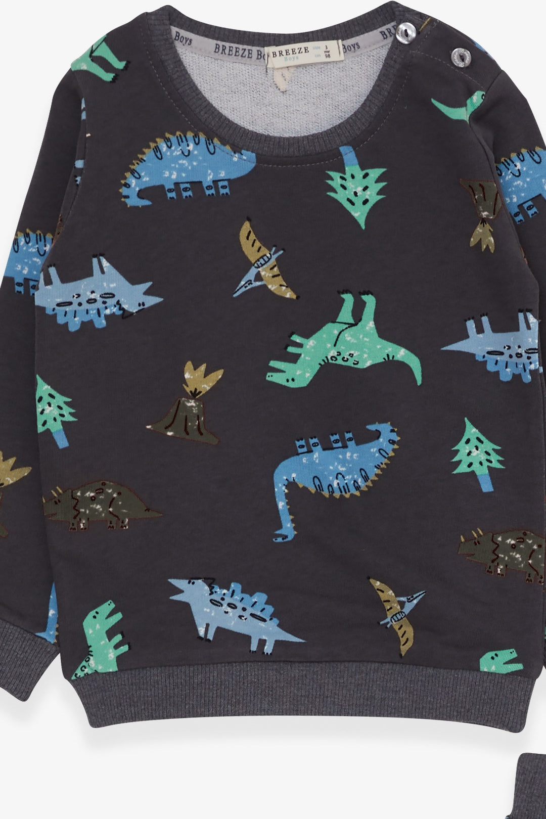 BRE Breeze Baby Boy Tracksuit Dinosaur Patterned 9 Months-3 Years, Smoke Gray - Fiumicino