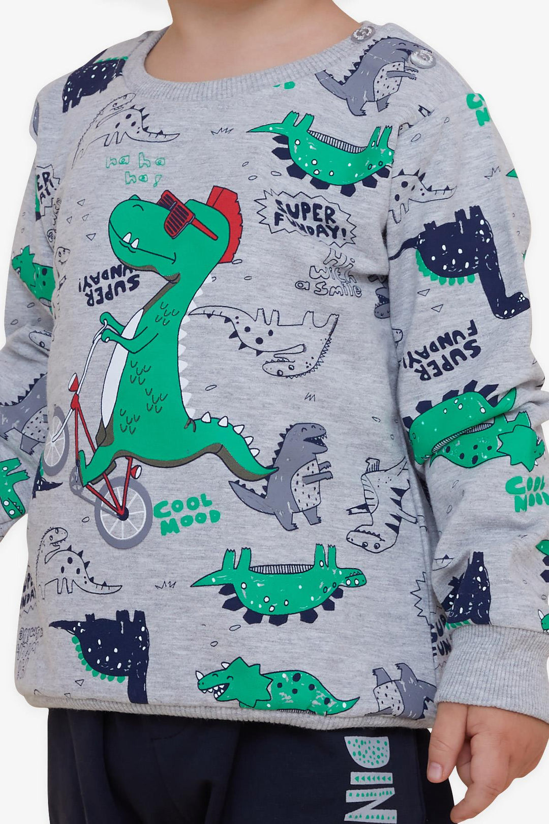 BRE Breeze Baby Boy Tracksuit Dinosaur Printed 9 Months-3 Years, Gray - Würselen