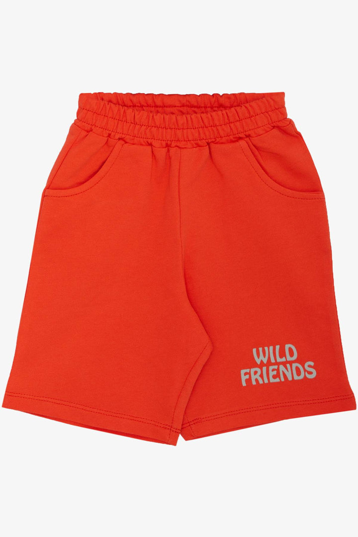 BRE Breeze Baby Boy Shorts Set Strong Friends Themed 9 Months-3 Years, Light Grey Melange - Kardítsa