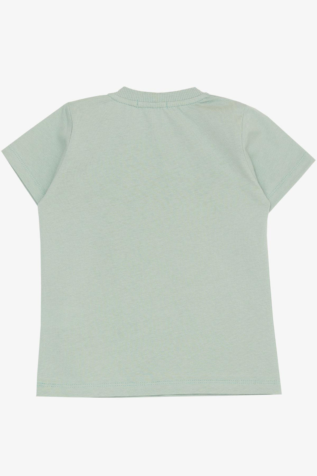 BRE Breeze Baby Boy T-shirt Cute Animal Printed 9 Months-3 Years, Mint Green - Victoria