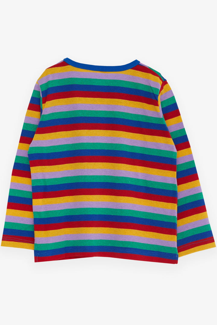 BRE Breeze Baby Boy Long Sleeve Striped T-Shirt 9 Months-3 Years, Mixed Color - Peristéri