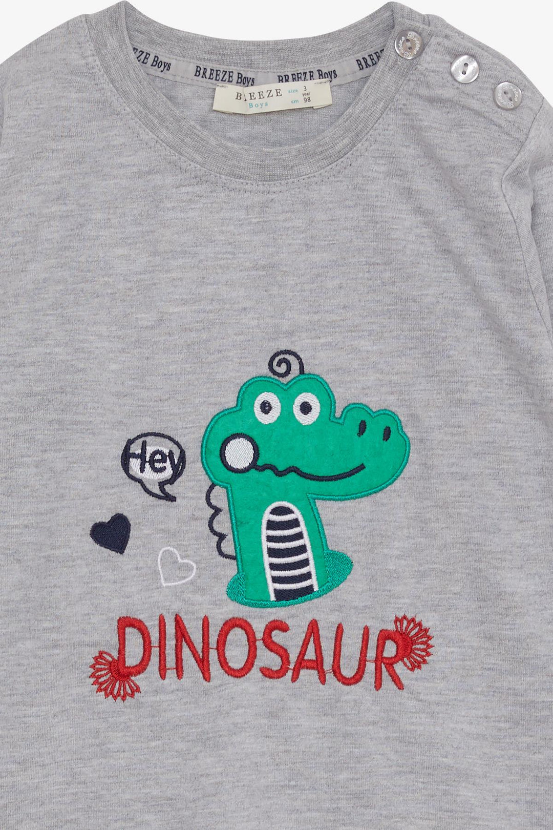 BRE Breeze Baby Boy Long Sleeve T-Shirt with Dinosaur Embroidery 9 Months-3 Years, Grey Melange - Sfântu-Gheorghe