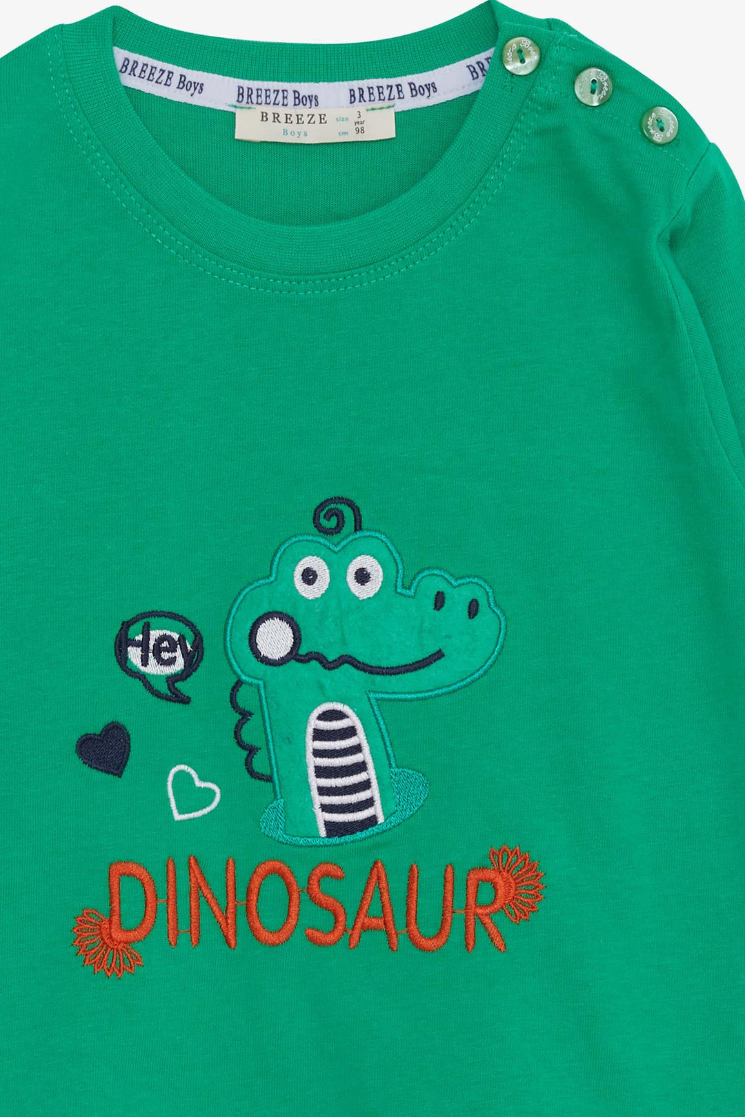 BRE Breeze Baby Boy Long Sleeve T-Shirt with Dinosaur Embroidery 9 Months-3 Years, Green - Heroica Ciudad de Tlaxiaco