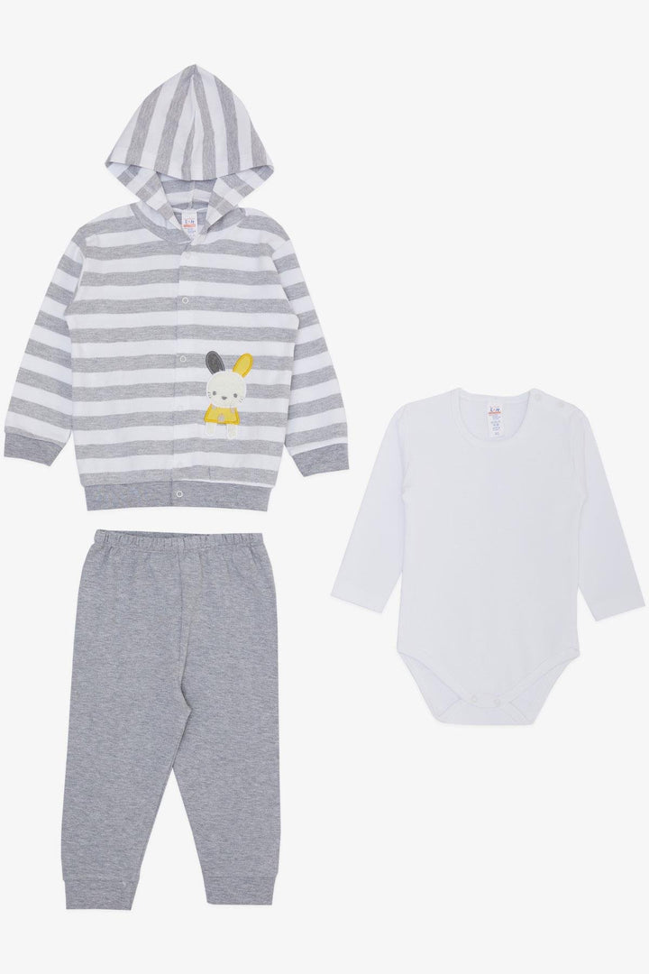 BRE Breeze Baby Boy Bodysuit 3-Piece Set with Cute Bunny Embroidery Hooded 4 Months Year, Light Gray Melange - Graham