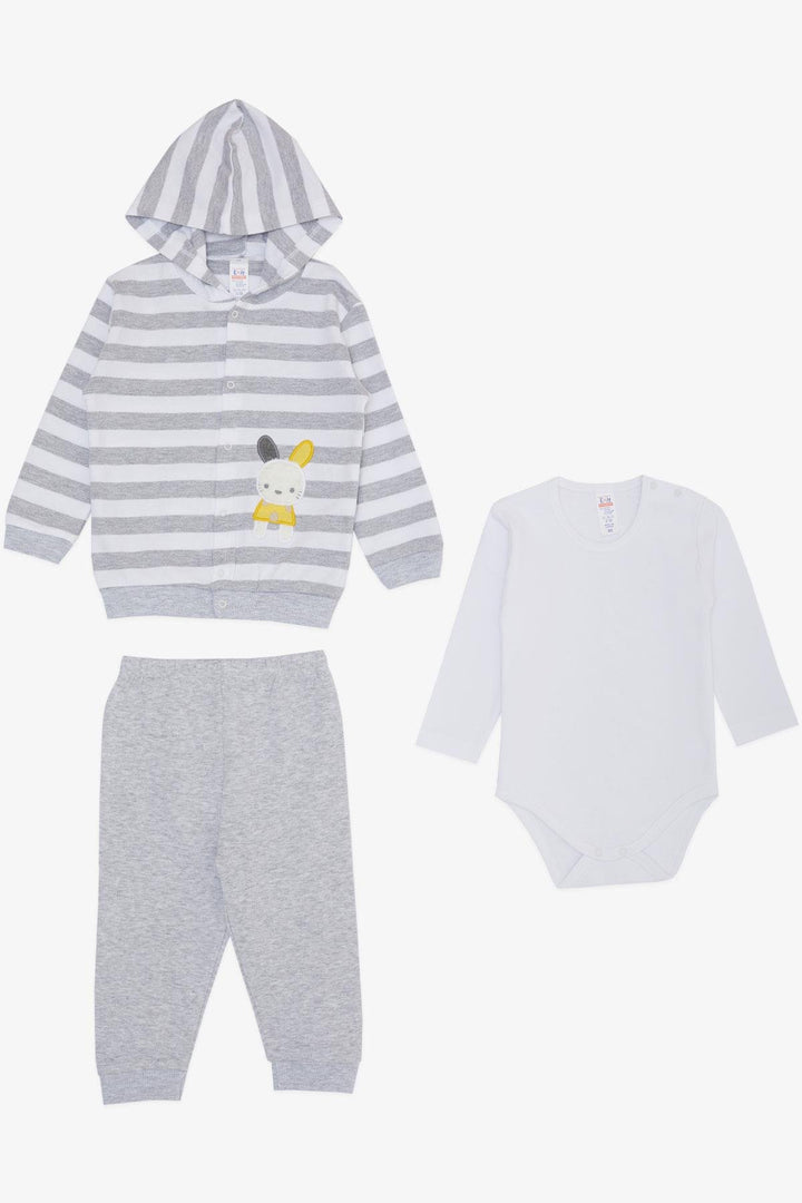 BRE Breeze Baby Boy Bodysuit 3-Piece Set with Cute Bunny Embroidery Hooded 4 Months Year, Light Gray Melange - Hurst