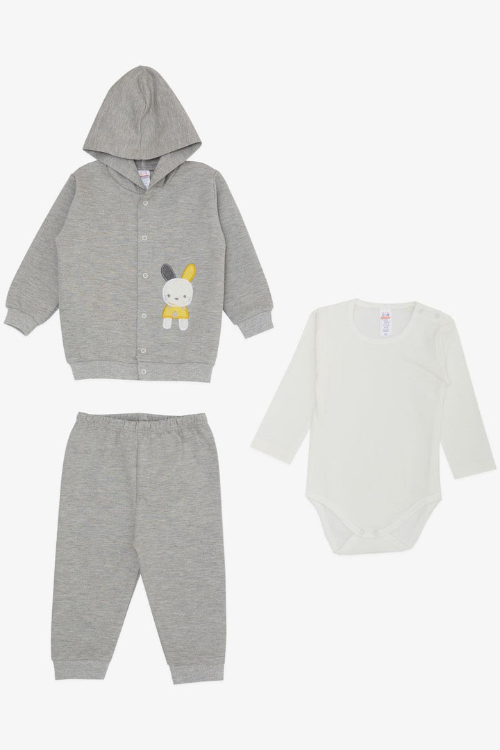 BRE Breeze Baby Boy Bodysuit 3-Piece Set with Cute Bunny Embroidery Hooded 4 Months Year, Grey Melange - Kawartha Lakes