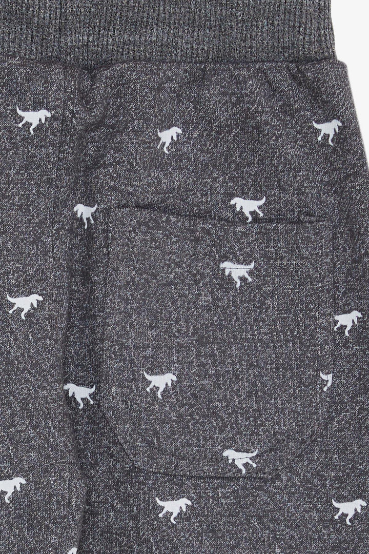 BRE Breeze Girls & Boys Boys' Dinosaur Patterned Lace-Up Pocketed 3-8 Years, Dark Gray Melange - Sierra Vista