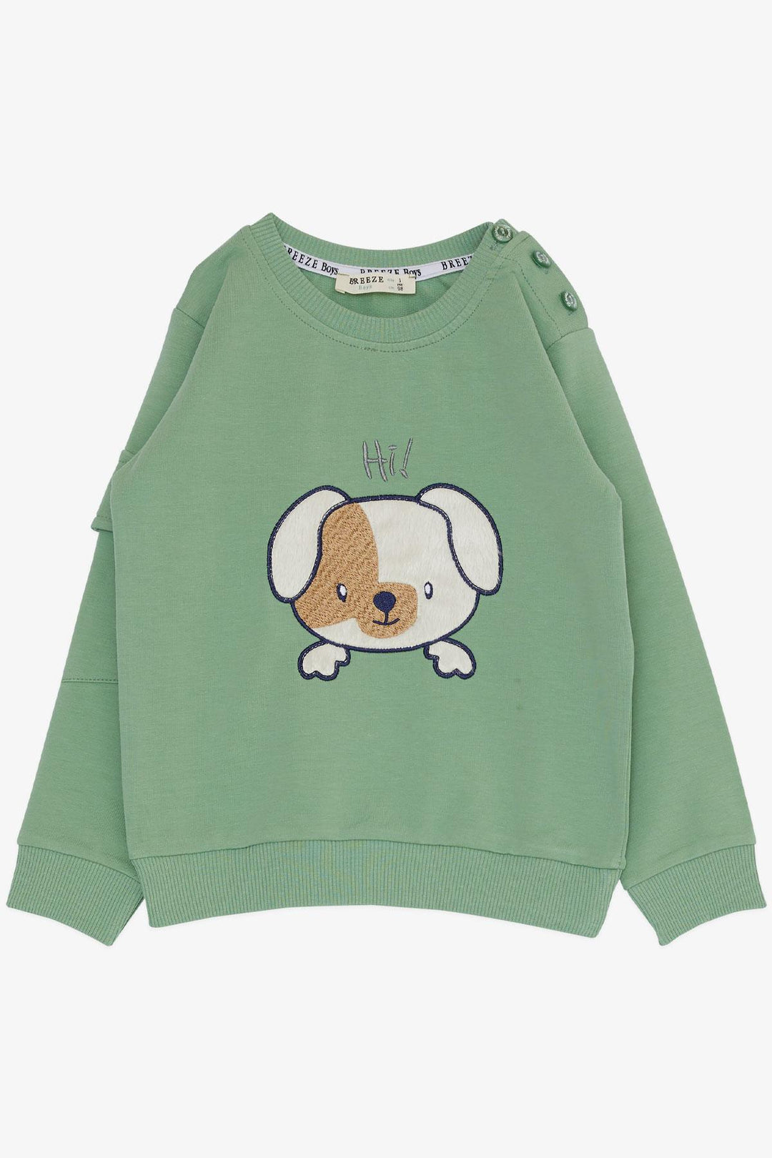 BRE Breeze Boys' Sweat Suit Cute Puppy Embroidered Arm Pocketed 1-4 Years, Mint Green - Swadlincote