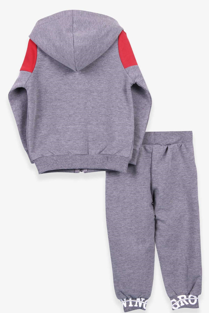 BRE Breeze Boys' Sweat Suit Printed Hooded 1.5-5 Years, Grey Melange - Newark