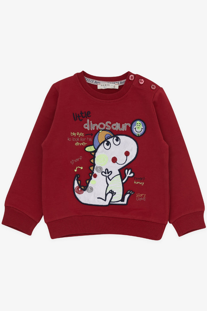 BRE Breeze Boys' Tracksuit with Tiny Dinosaur Embroidery, 1-4 Years, Red - Euskirchen