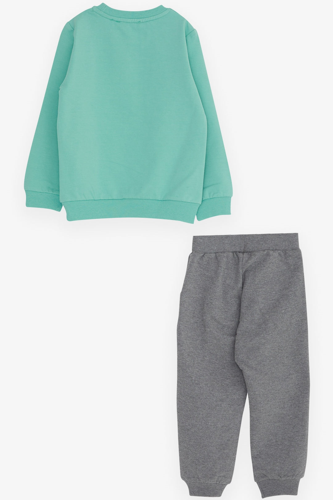 BRE Breeze Boys' Tracksuit Set with Dizzy Bear Print, 1-4 Years, Mint Green - Straubing