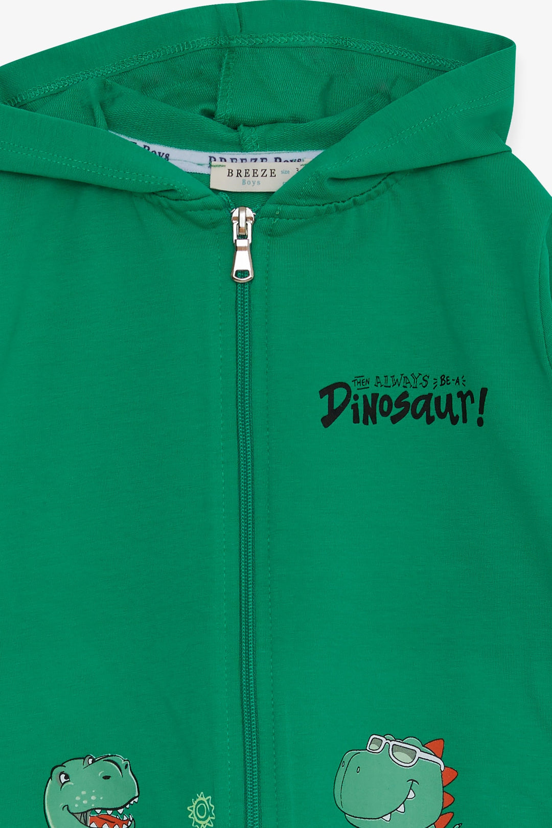 BRE Breeze Boys' Cardigan with Skateboarding Dinosaur Print, 1-4 Years, Green - Tuckahoe