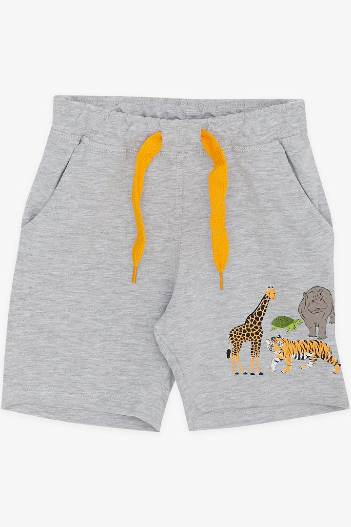 BRE Breeze Boys' Shorts Set Printed 2-6 Years, Grey Melange - Woodbridge