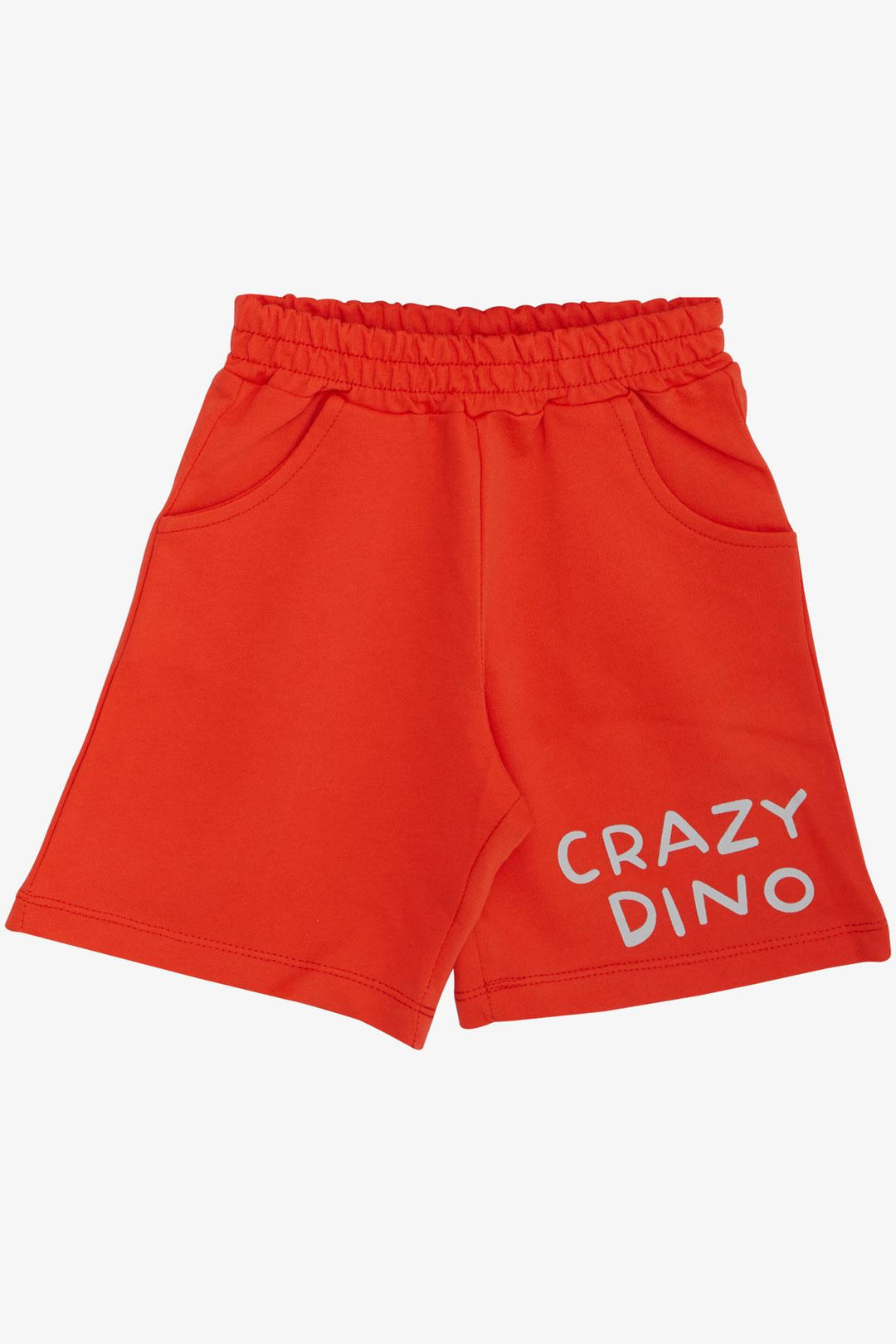 BRE Breeze Boys' Shorts Set Crazy Dinosaur Printed 1.5-5 Years, Light Grey Melange - Monopoli