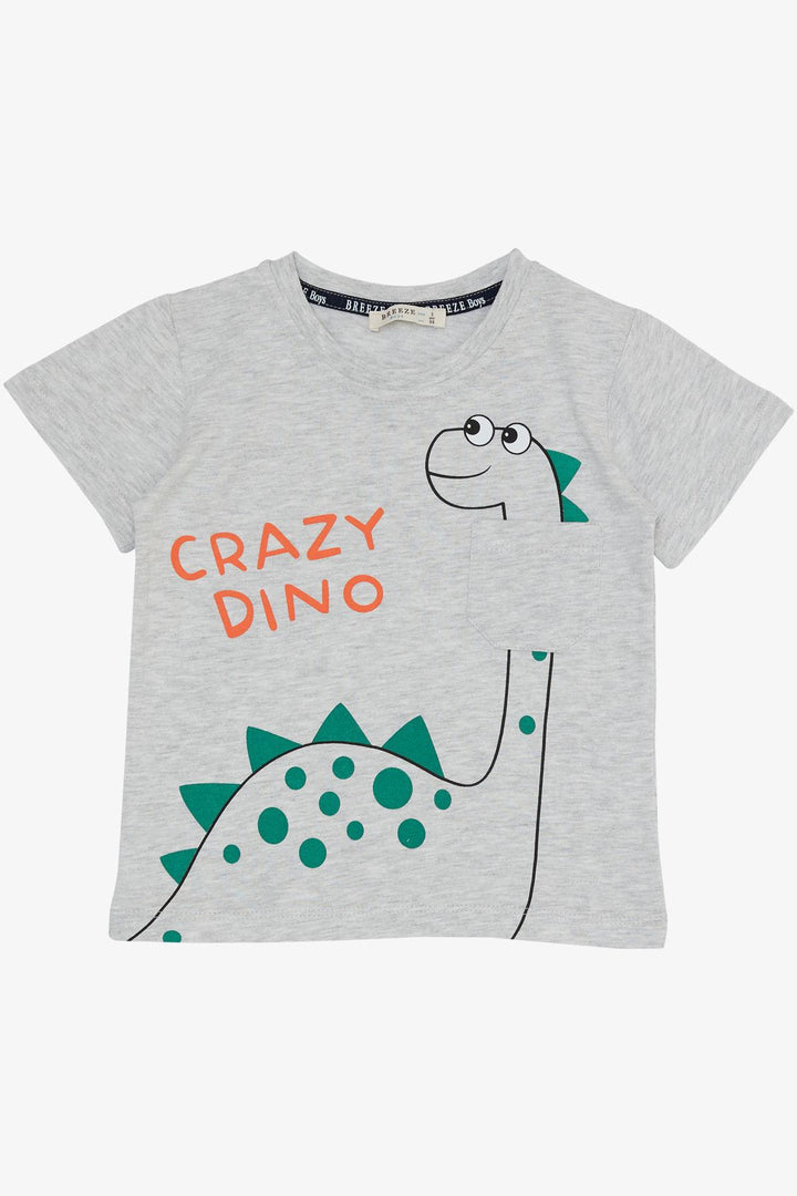 BRE Breeze Boys' Shorts Set Crazy Dinosaur Printed 1.5-5 Years, Light Grey Melange - Monopoli