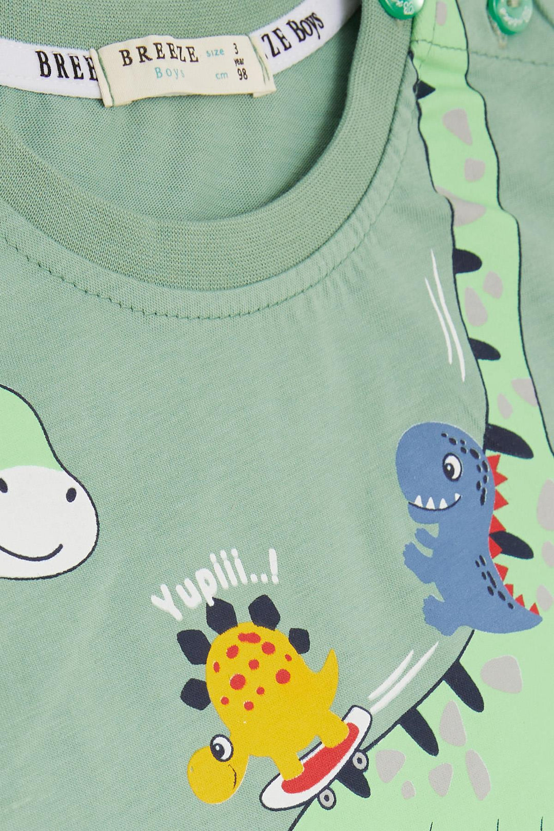 BRE Breeze Girls & Boys Boys' Shorts Set Happy Dinosaur Family Printed 1-4 Years, Mint Green - Chilliwack