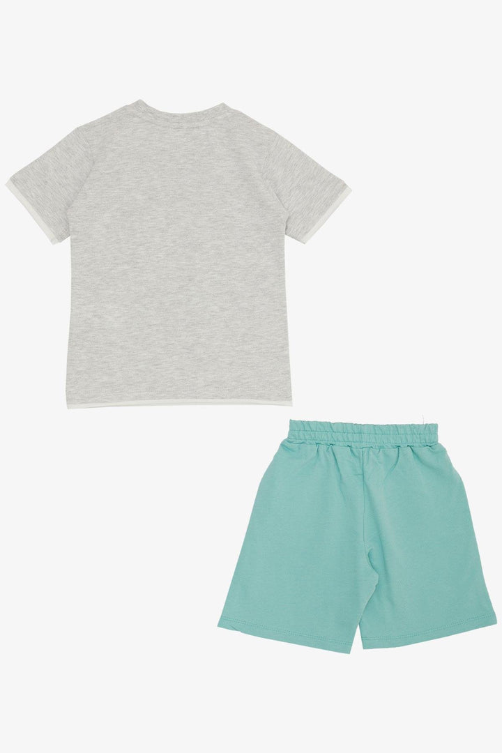 BRE Breeze Boys' Shorts Set Cute Free Skateboarding Puppy Printed 2-6 Years, Light Grey Melange - Adelanto