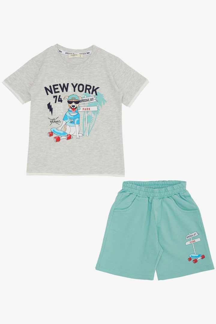 BRE Breeze Boys' Shorts Set Cute Free Skateboarding Puppy Printed 2-6 Years, Light Grey Melange - Adelanto