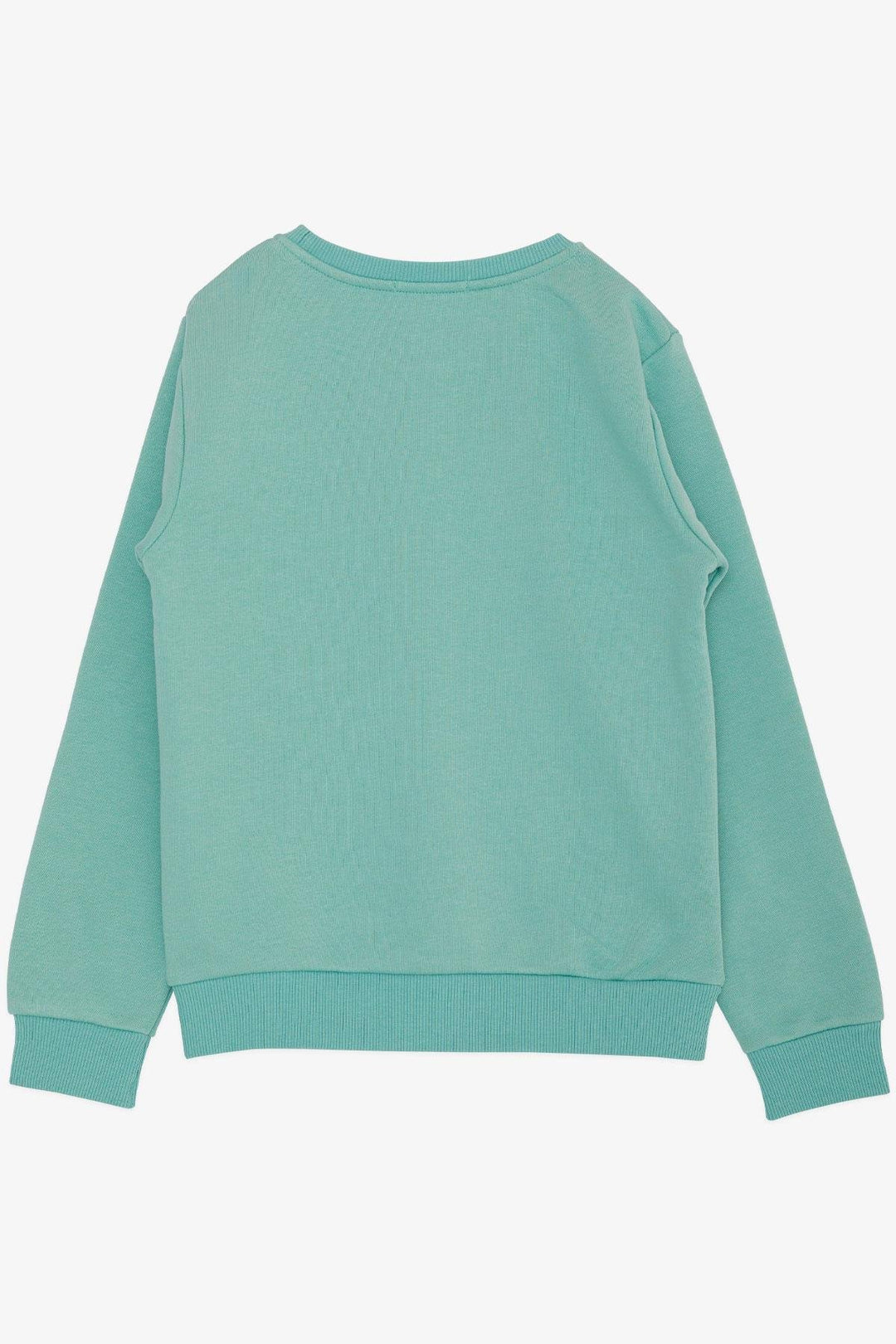 BRE Breeze Boys' Sweatshirt with Printed Text, 4-8 Years, Aqua Green - Airdrie