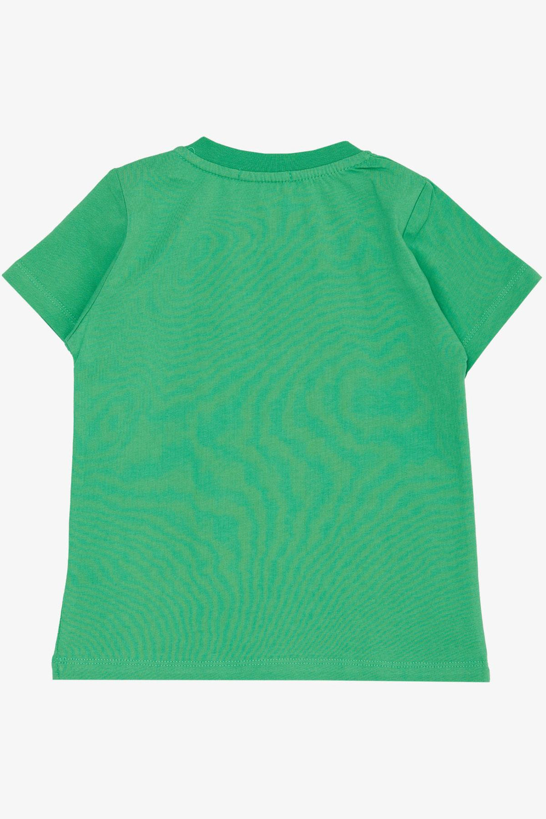 BRE Breeze Boys' T-Shirt Strong Dinosaur Printed 1.5-5 Years, Green - Delano