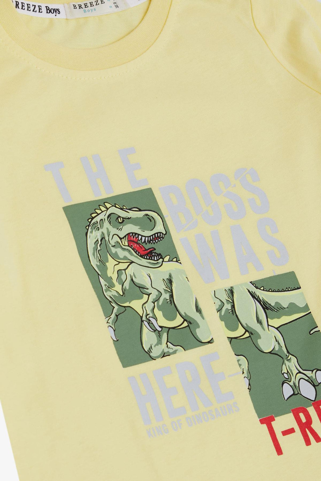 BRE Breeze Boys' T-Shirt Strong Dinosaur Printed 1.5-5 Years, Yellow - Taunton