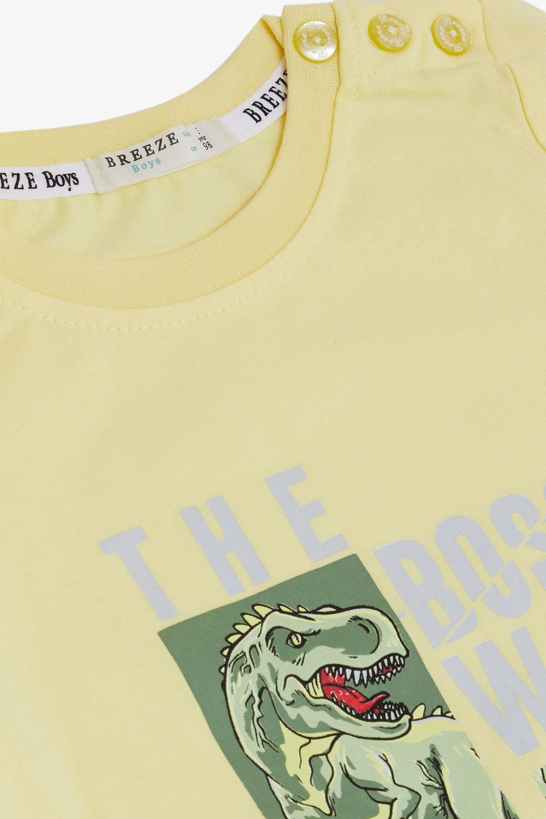 BRE Breeze Boys' T-Shirt Strong Dinosaur Printed 1.5-5 Years, Yellow - Taunton