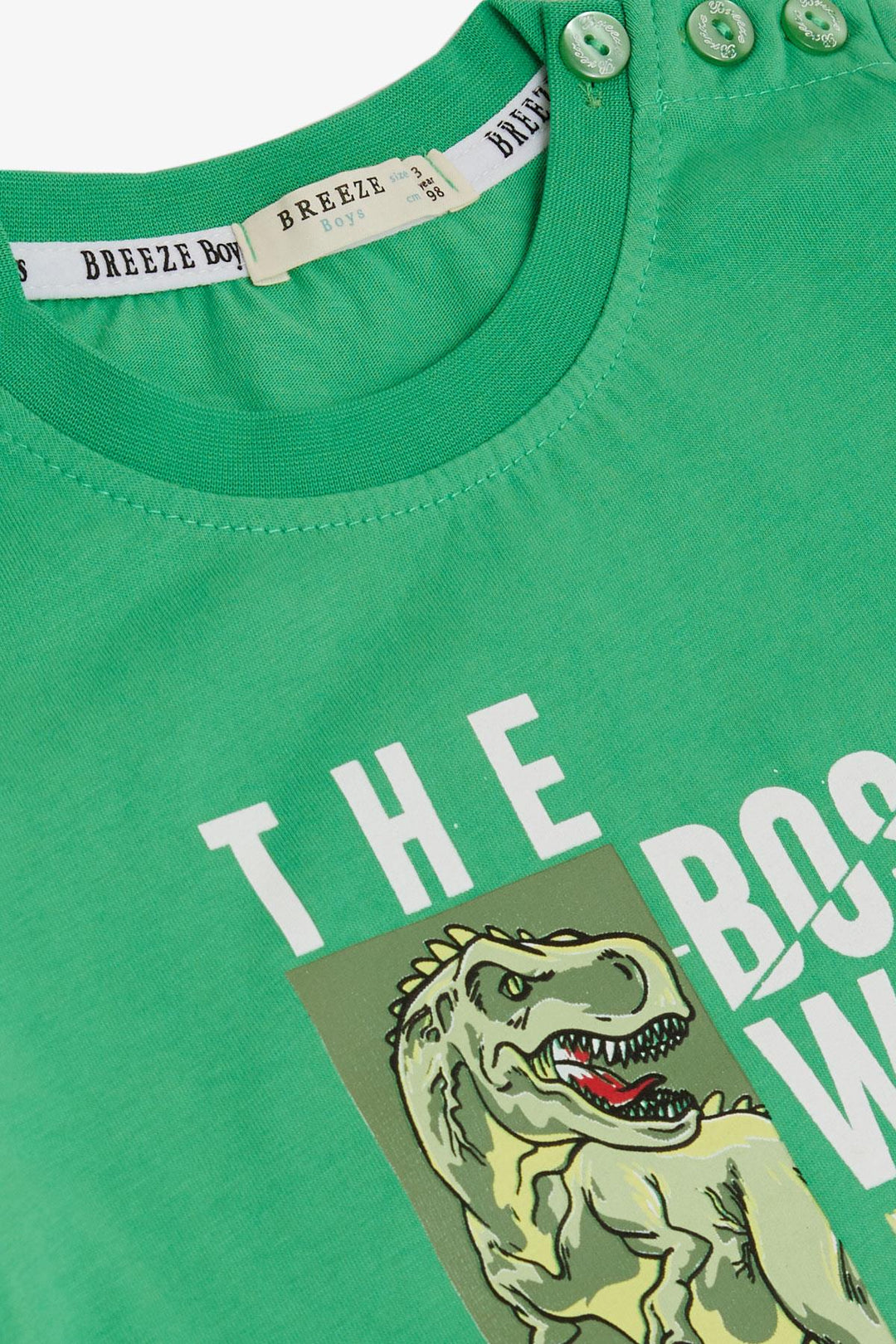 BRE Breeze Boys' T-Shirt Strong Dinosaur Printed 1.5-5 Years, Green - Delano