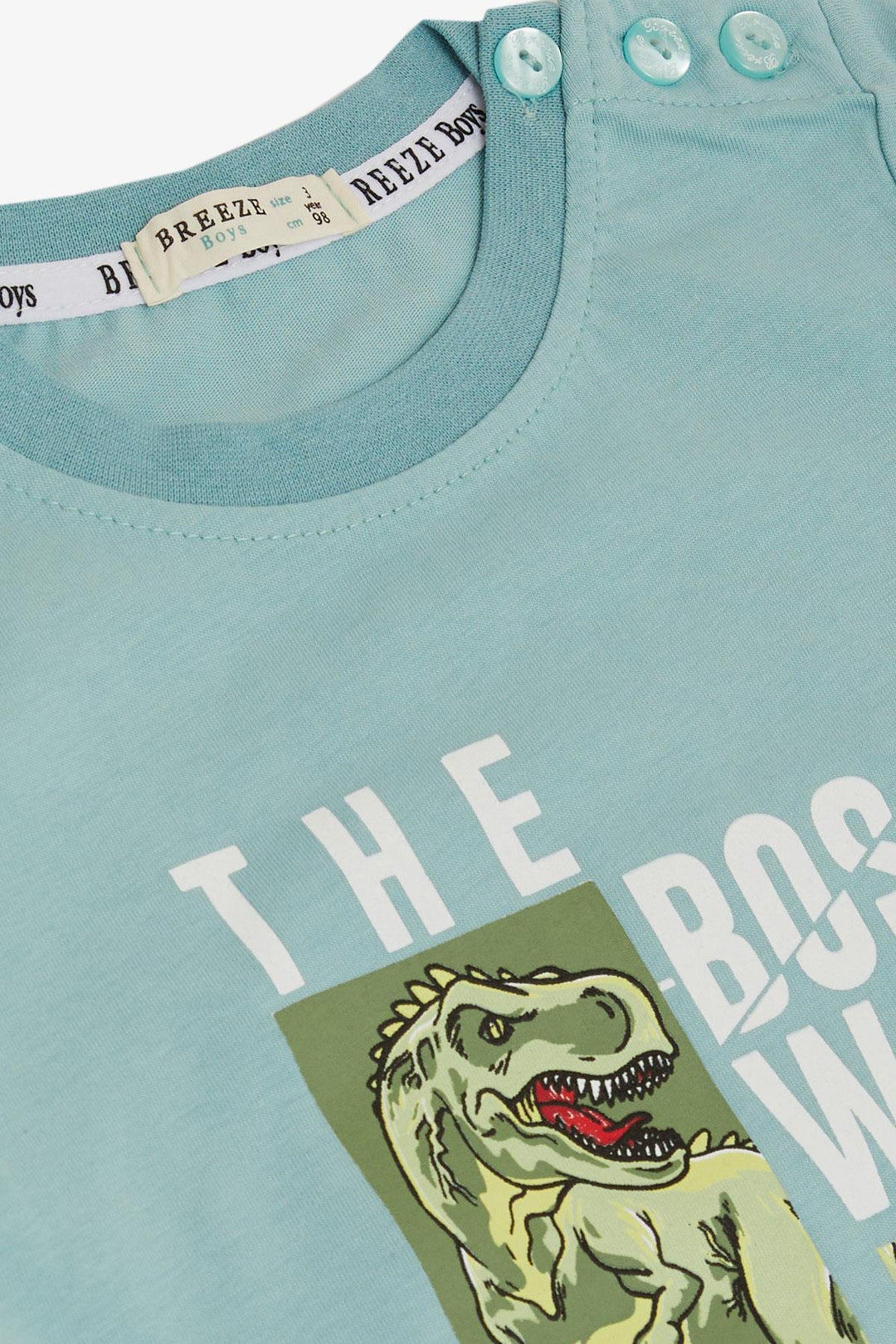 BRE Breeze Boys' T-Shirt Strong Dinosaur Printed 1.5-5 Years, Aqua Green - Colombes