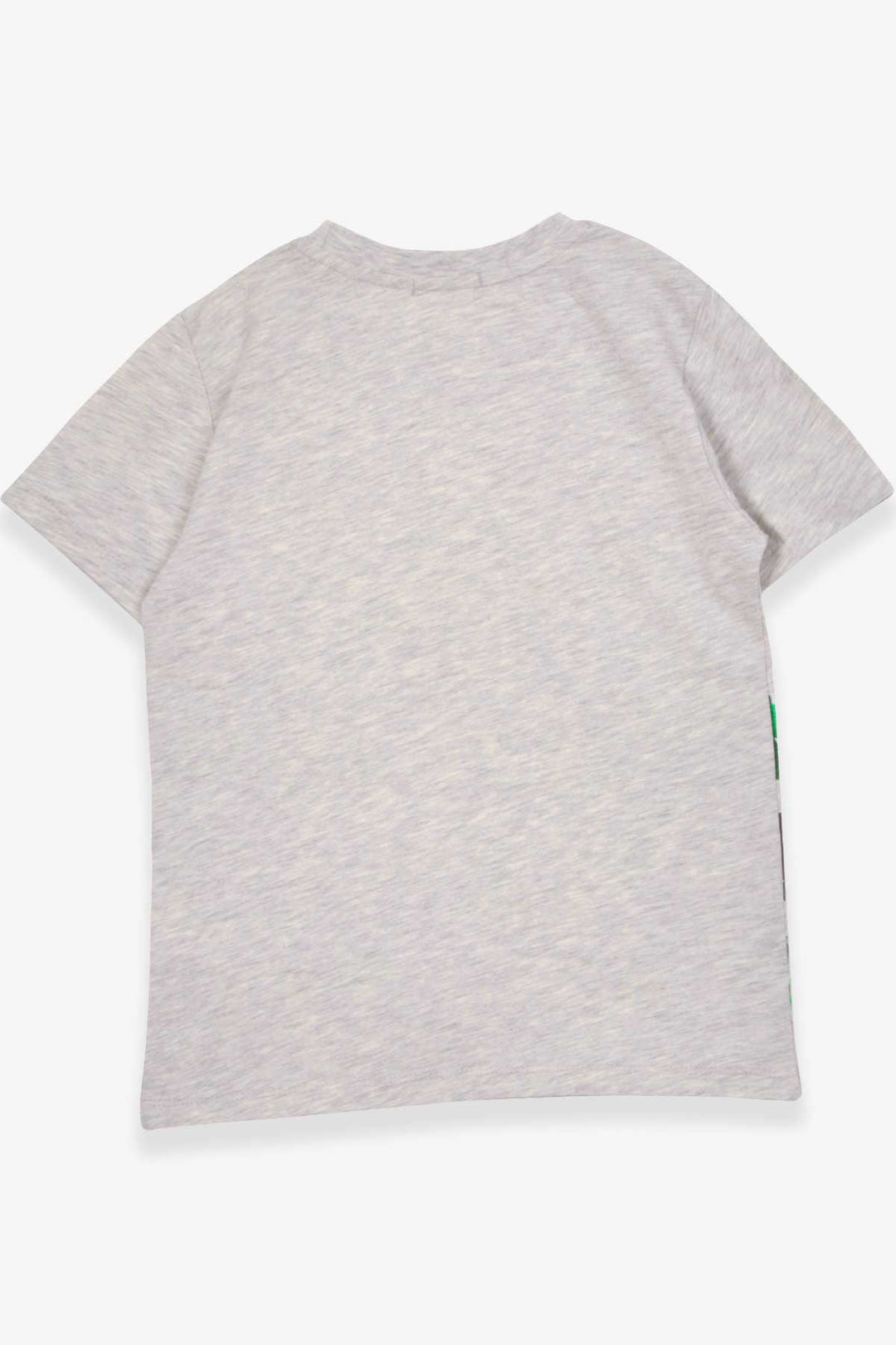 BRE Breeze Boys' T-Shirt Spray Printed 62 Years, Light Grey Melange - North Bethesda