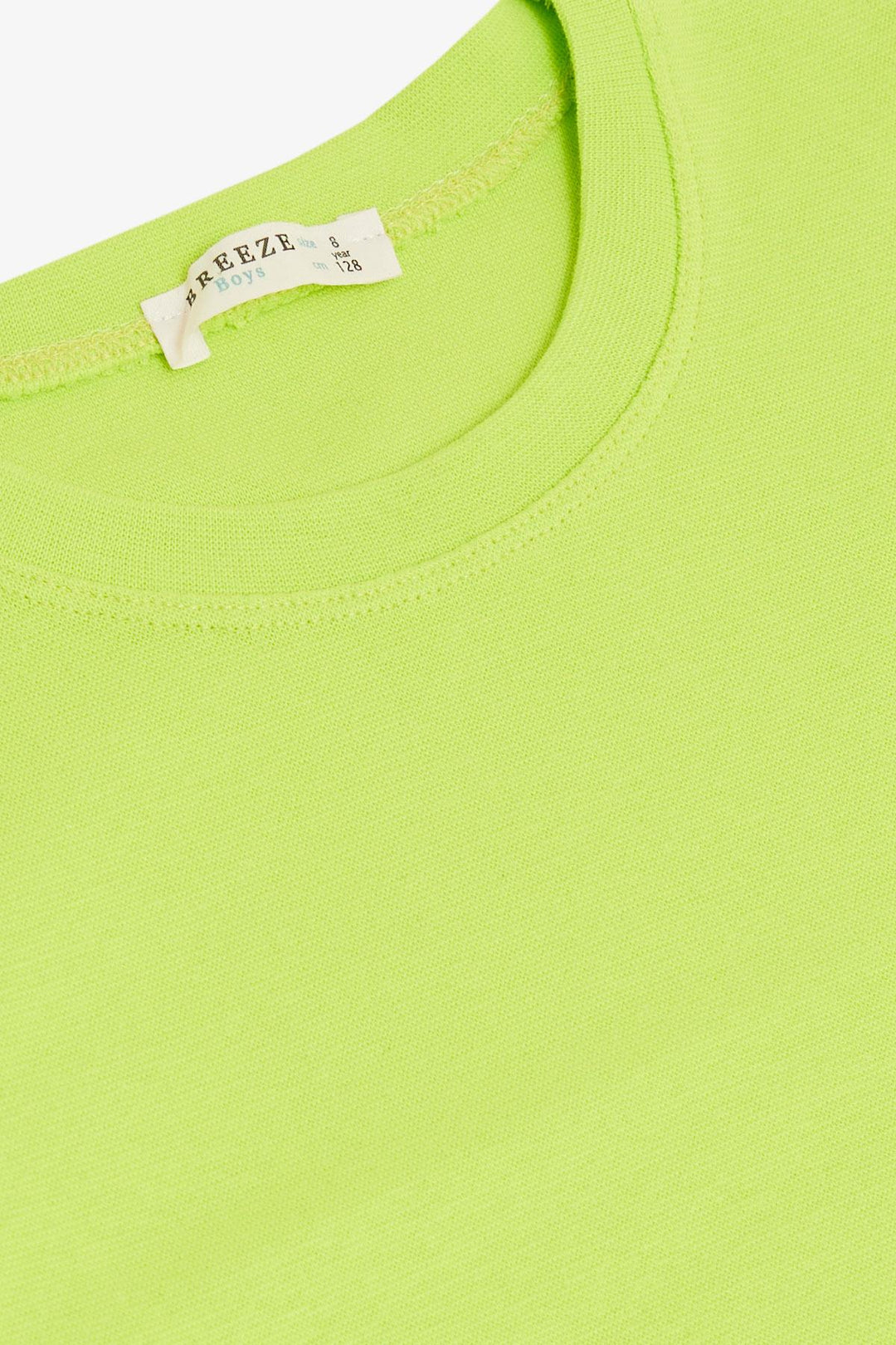 BRE Breeze Boys' Long Sleeve T-Shirt Basic 4-8 Years, Pistachio Green - Teotihuacan