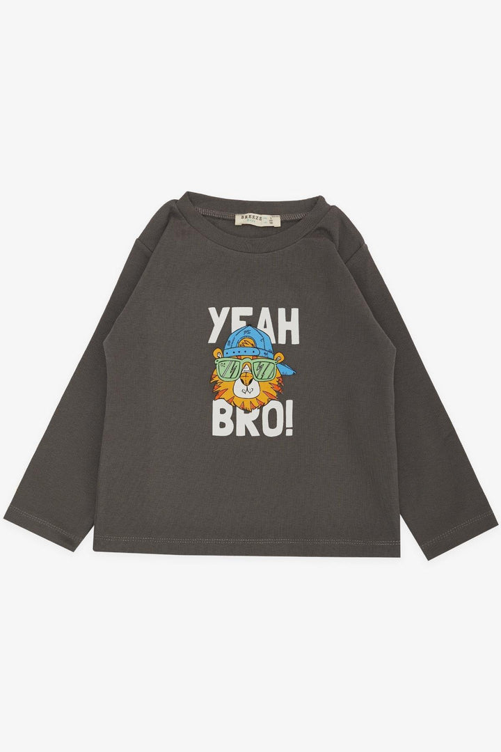 BRE Breeze Girls & Boys Boys Long Sleeve T-Shirt with Cool Lion Printed Hat, 1-4 Years, Smoke Gray - Alytus