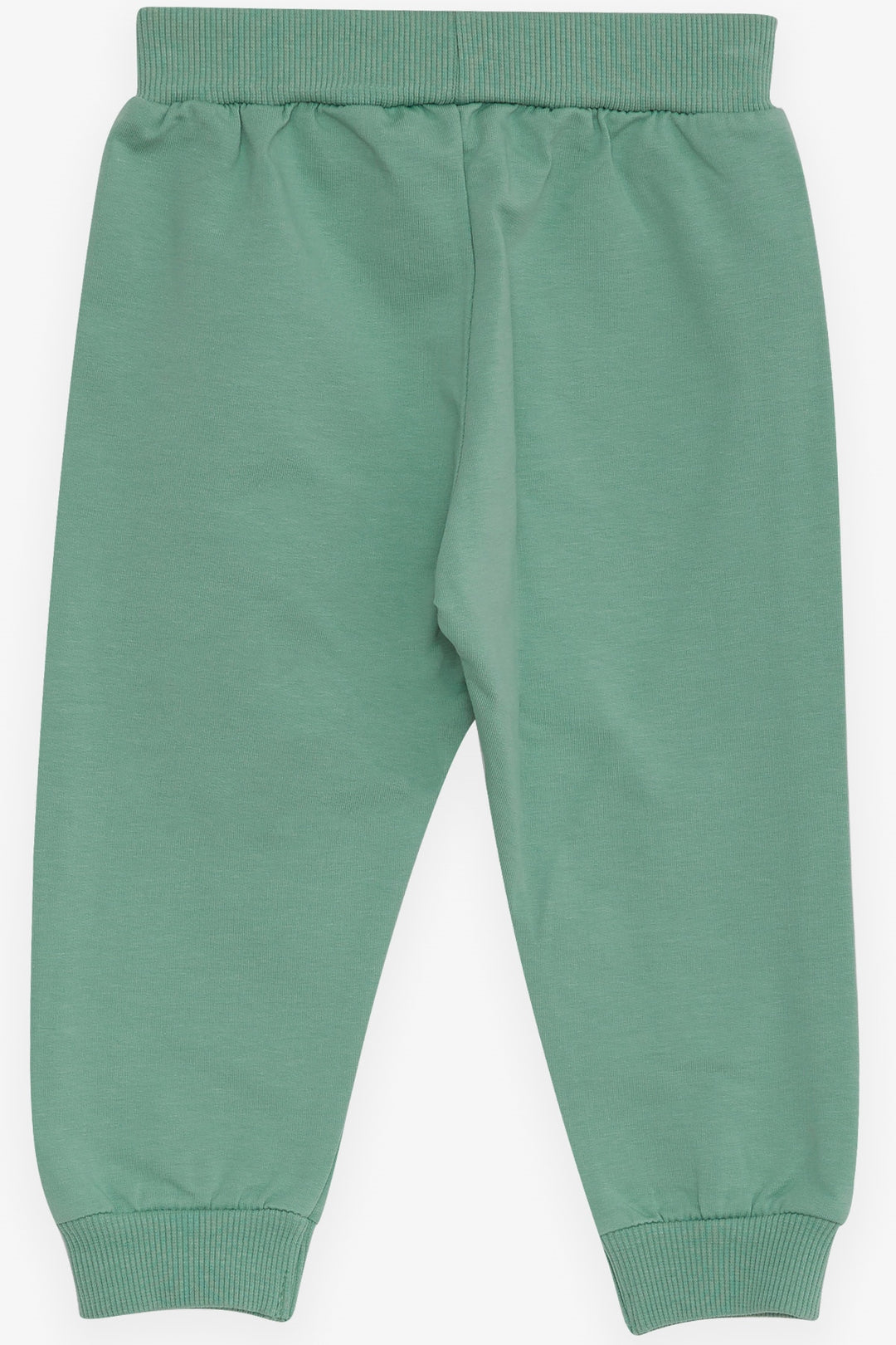 BRE Breeze Baby Girl Sweatpants Baby Elephant Printed 6 Months-2 Years, Mint Green - Spokane