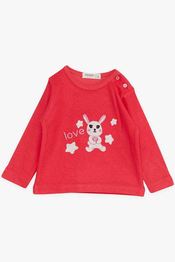 Bre Breeze Girl Baby Trade Cuit Love Themed Милый кролика вышита 6 месяцев -2 года, гранат - Канзас -Сити