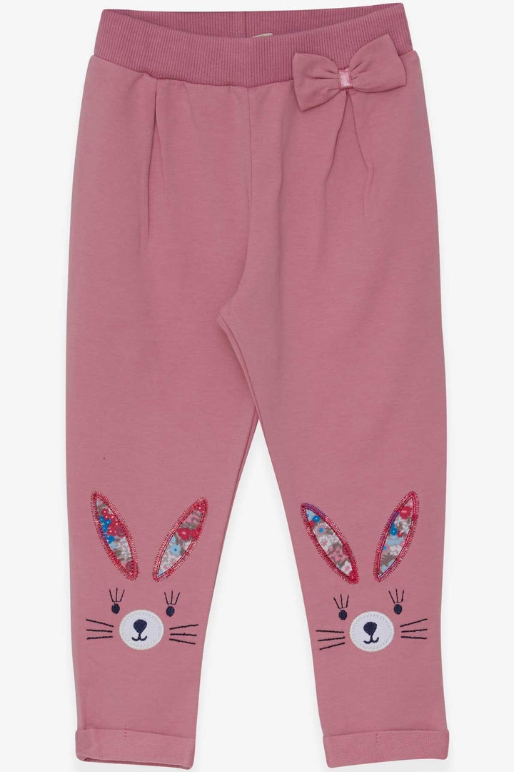 BRE Breeze Baby Girl Leggings Pants with Bunny Embroidery 9 Months-3 Years, Rose Pink - Stamford