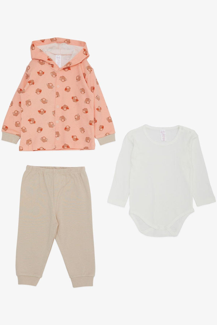 BRE Breeze Baby Girl Bodysuit 3-Piece Set Cute Bird Patterned 4 Months Year, Salmon - Los Angeles