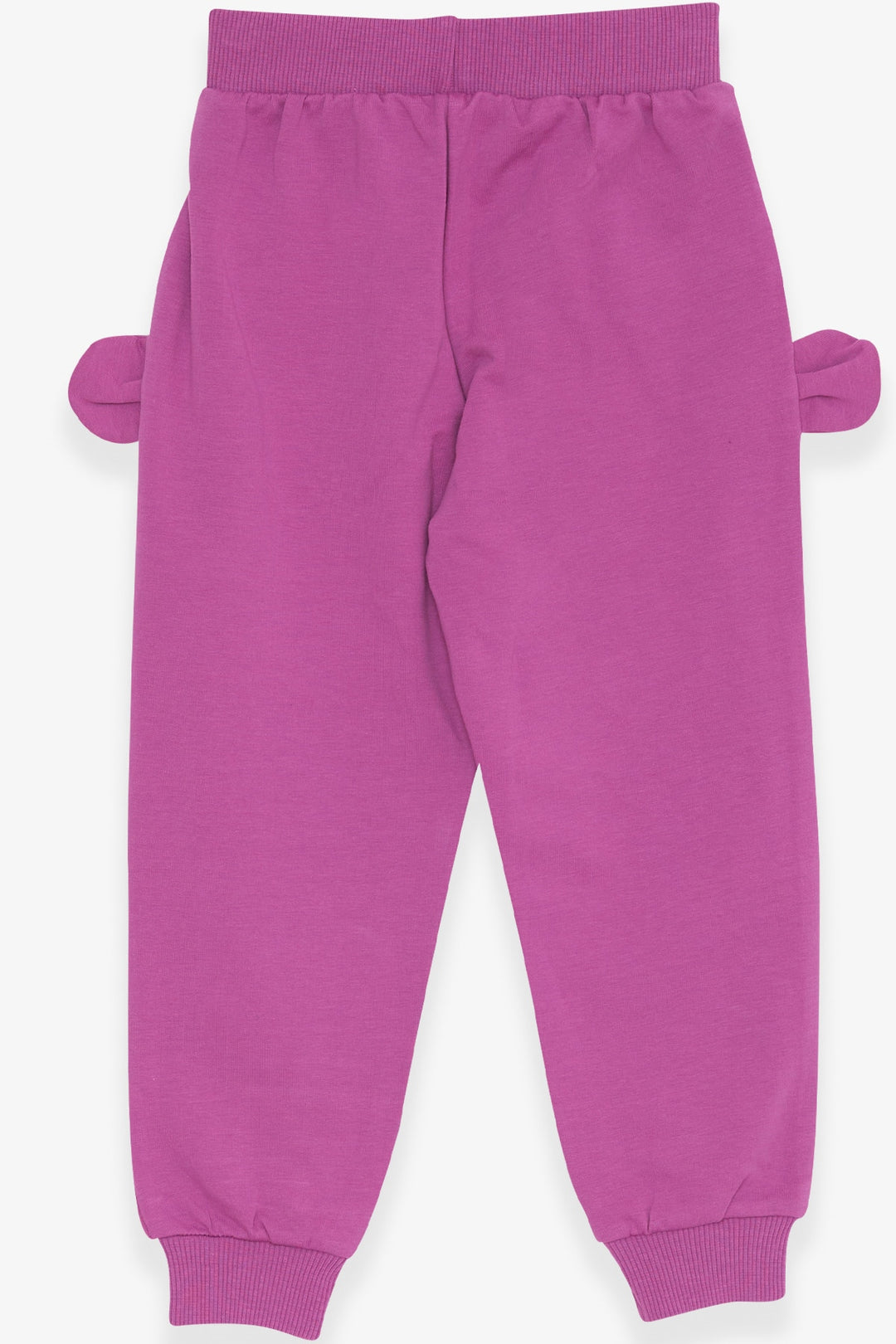 BRE Breeze Girl Child Sweatpants with Bunny Embroidery 1-4 Years, Purple - Sagunto