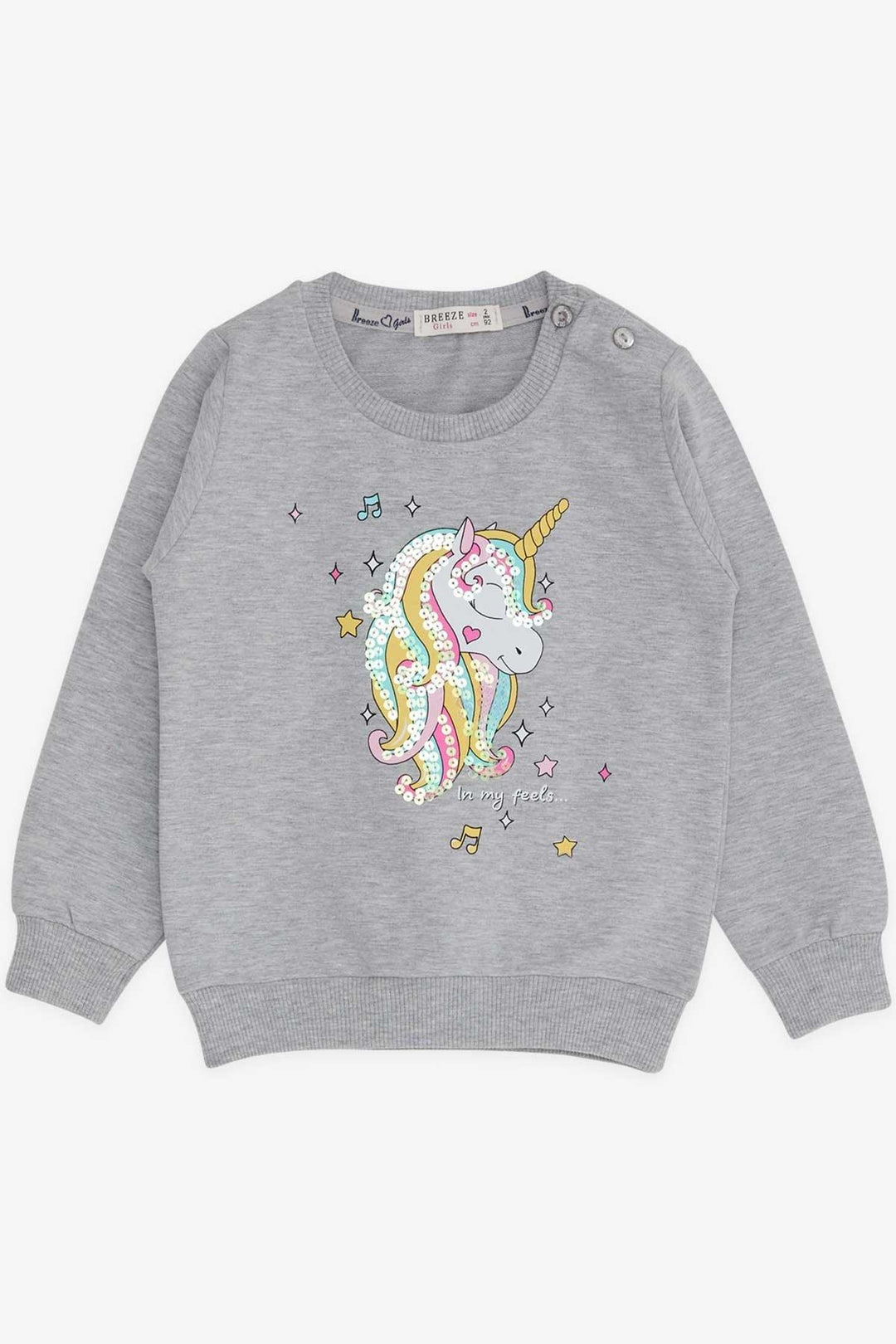 Bree Breeze Girl Child Sweathirt Printed Unicorn Unicorn 2-6 лет, серый Melange - Whangarei