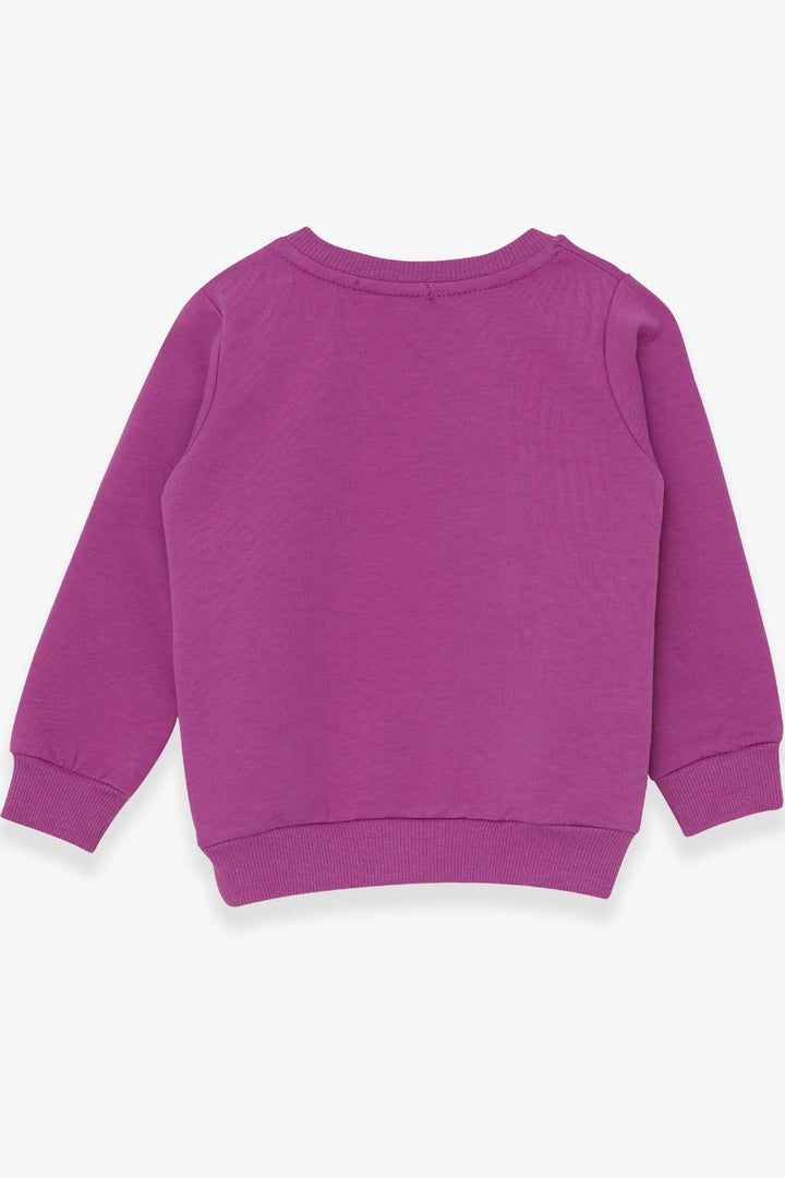 BRE Breeze Girl Child Sweatshirt Printed Unicorn 1.5-5 Years, Lilac - Alafaya