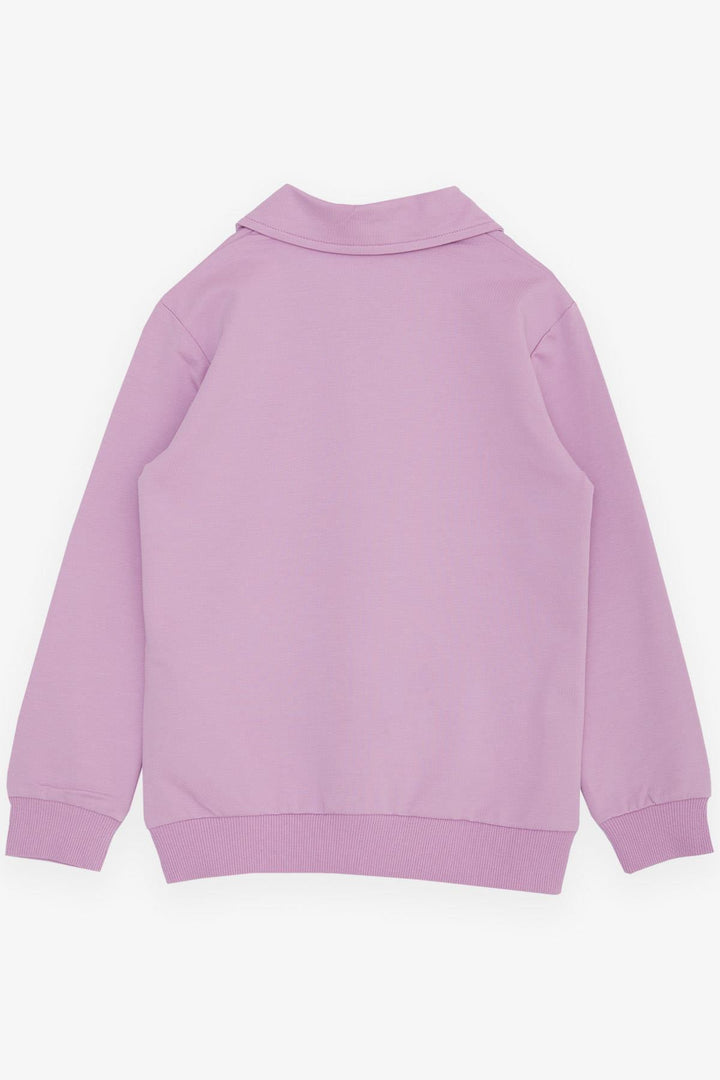 Bree Breeze Girl Child Sweathirt с волшебным принтом наполовину Zip Polo Neck 84 года, сирень - Южный Иордан