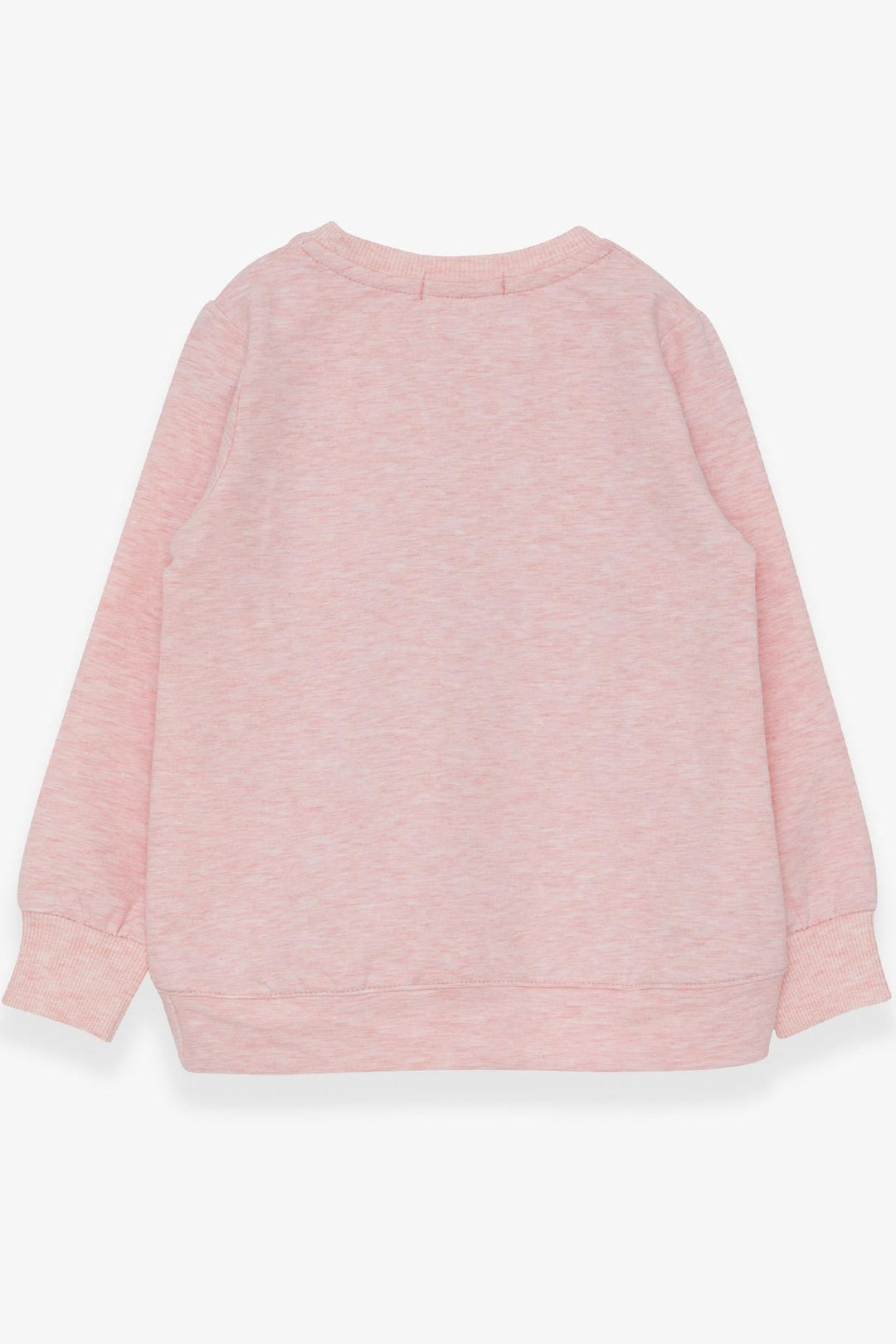 BRE Breeze Girl Child Sweatshirt Sequined Girl Printed 3-8 Years, Salmon Melange - Hove