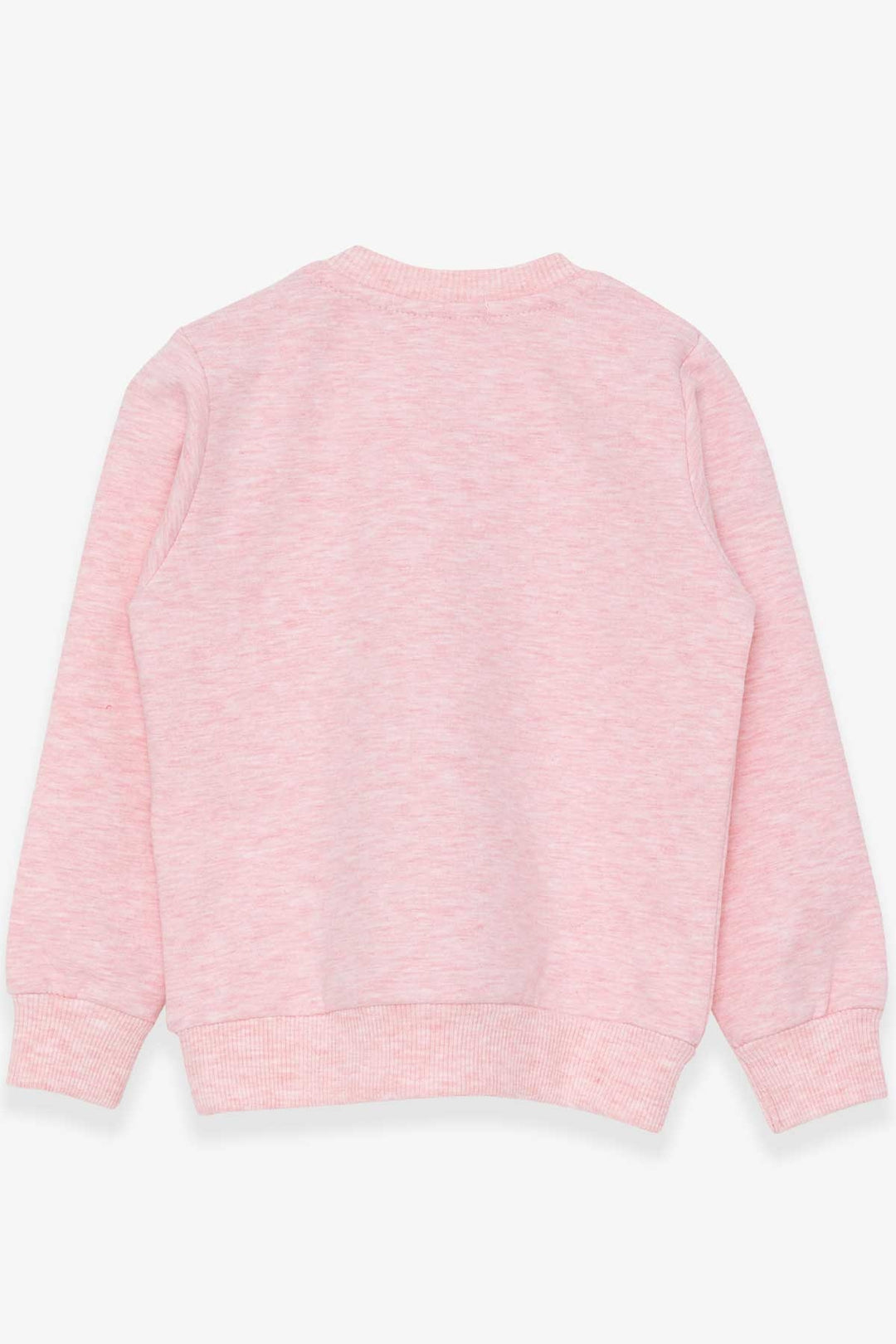 BRE Breeze Girl Child Sweatshirt with Glittery Kitty Print 1.5-5 Years, Salmon Melange - Catania